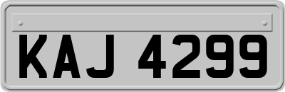 KAJ4299