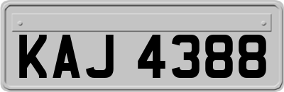 KAJ4388