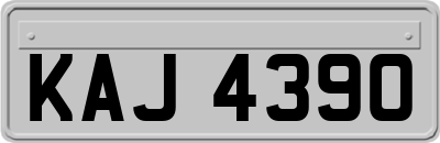 KAJ4390