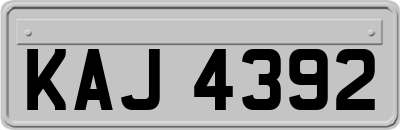 KAJ4392