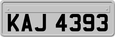 KAJ4393