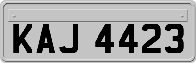 KAJ4423