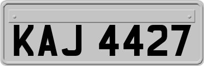 KAJ4427