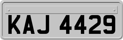 KAJ4429