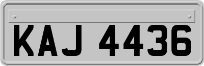 KAJ4436