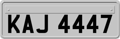 KAJ4447