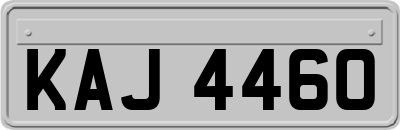 KAJ4460