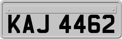 KAJ4462
