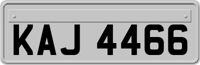 KAJ4466