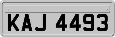 KAJ4493