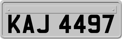 KAJ4497
