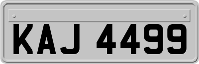KAJ4499