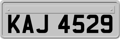 KAJ4529