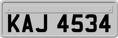 KAJ4534