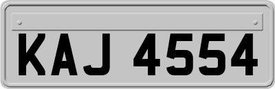 KAJ4554