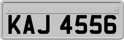 KAJ4556