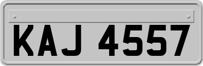 KAJ4557