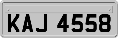 KAJ4558