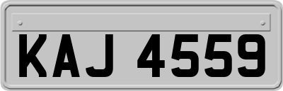 KAJ4559