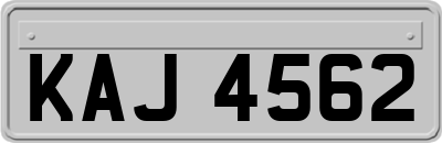 KAJ4562