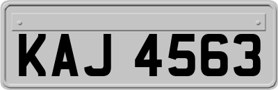 KAJ4563