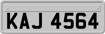 KAJ4564
