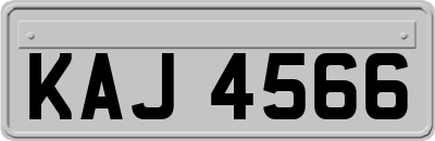 KAJ4566