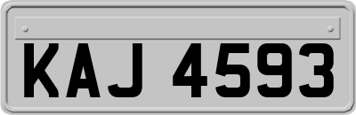 KAJ4593