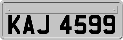 KAJ4599