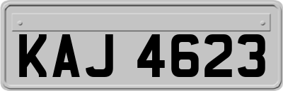 KAJ4623