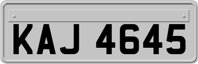 KAJ4645