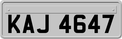 KAJ4647