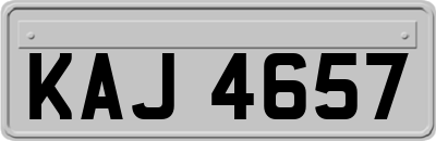 KAJ4657