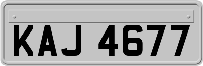 KAJ4677