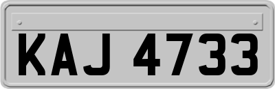 KAJ4733