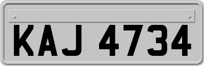 KAJ4734