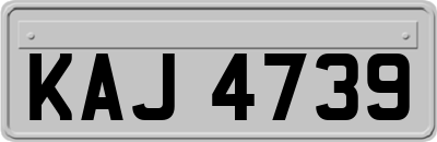 KAJ4739