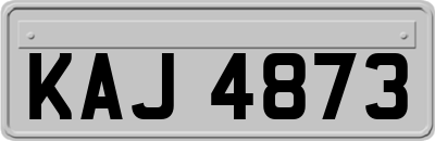KAJ4873