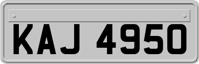 KAJ4950