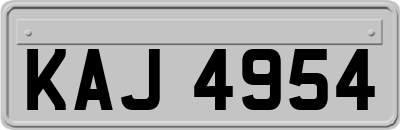KAJ4954