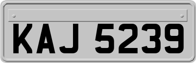 KAJ5239