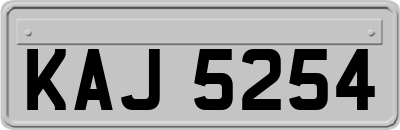 KAJ5254