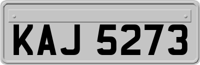 KAJ5273