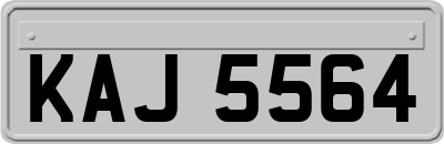 KAJ5564
