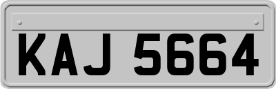 KAJ5664