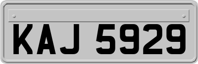 KAJ5929