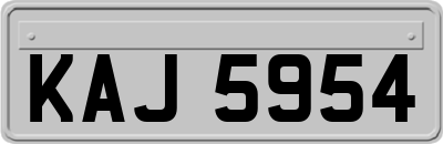 KAJ5954