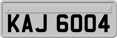 KAJ6004