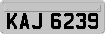 KAJ6239