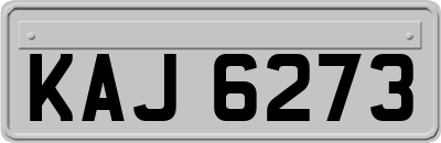 KAJ6273